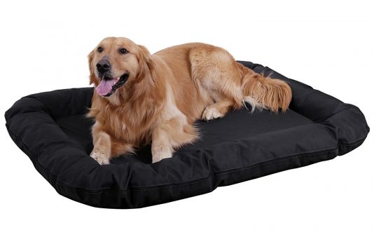 camas para perros grandes baratas